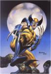 Wolverine