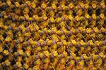 opening_ceremony353