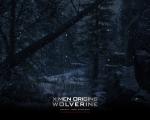 wolverine_03