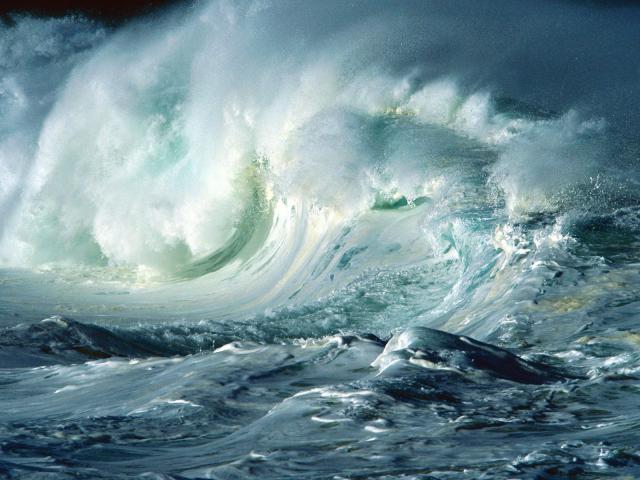 oceans_031