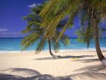oceans_083