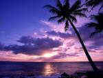 oceans_088