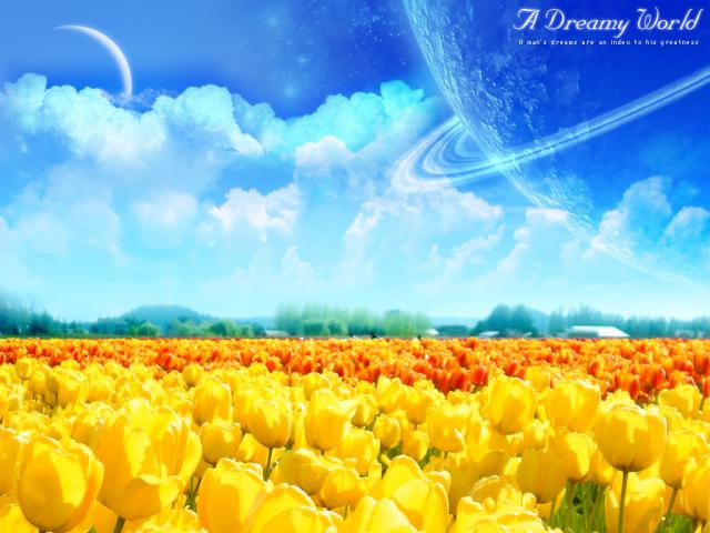 A_Dreamy_World_9th