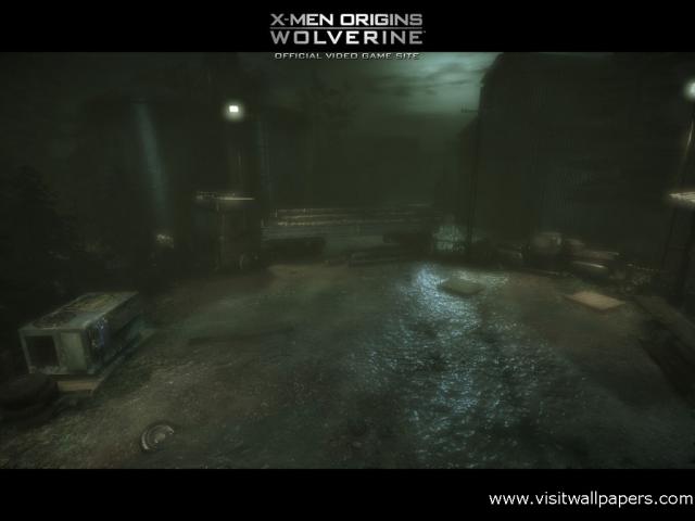 wolverine_45
