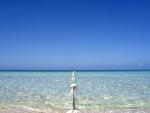 blue_005