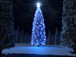 blue_007