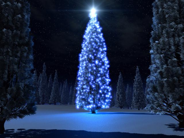 blue_007