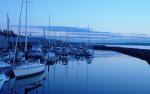 blue_028