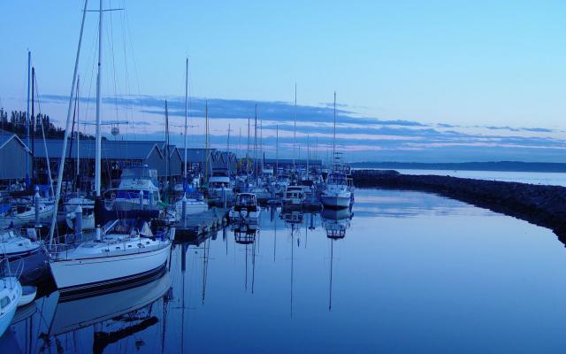 blue_028