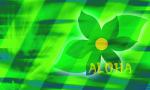 green_007