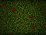 green_018