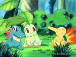 Pokemon_084