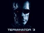 terminator_45