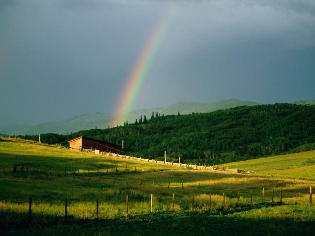 rainbow_04