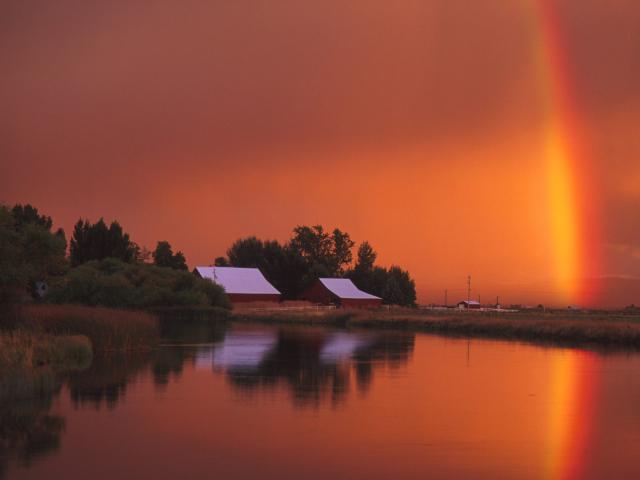 rainbow_07