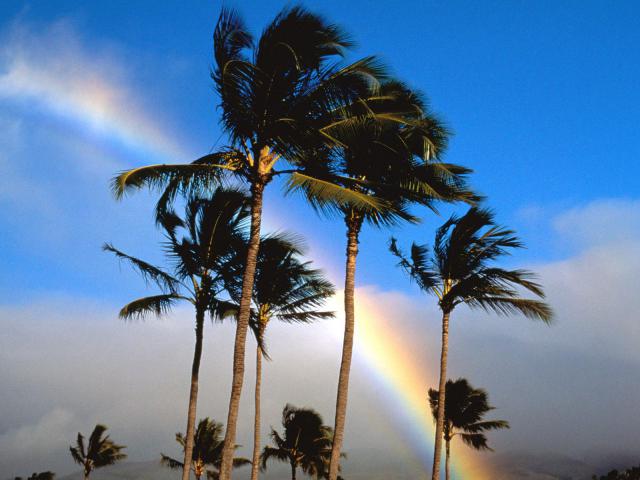 rainbow_09