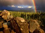 rainbow_10