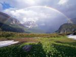 rainbow_11