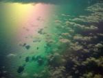 rainbow_18