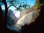rainbow_24