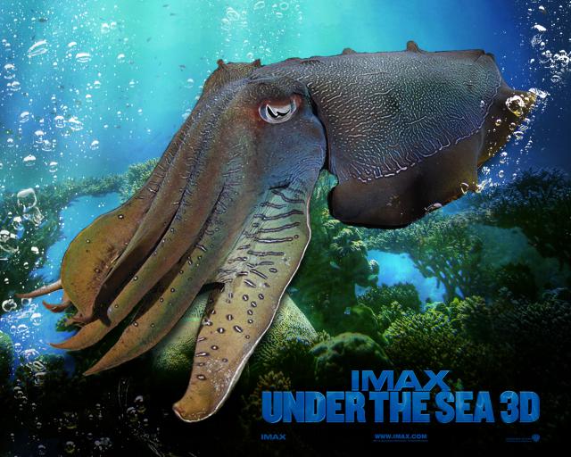 wp_cuttlefish