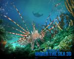 wp_lionfish
