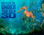wp_seadragon