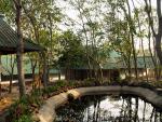 watwaphukaew14
