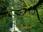waterfalls_132