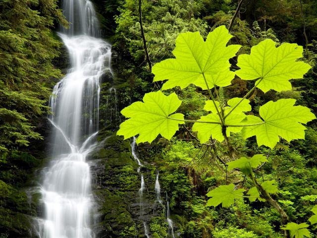 waterfalls_136