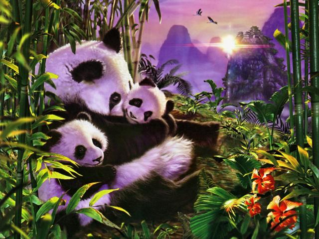 Animals_043