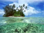 ocean-life-299