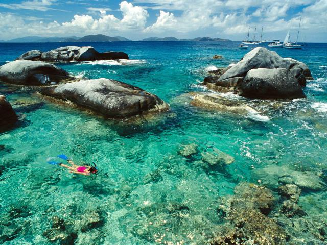 ocean-life-301