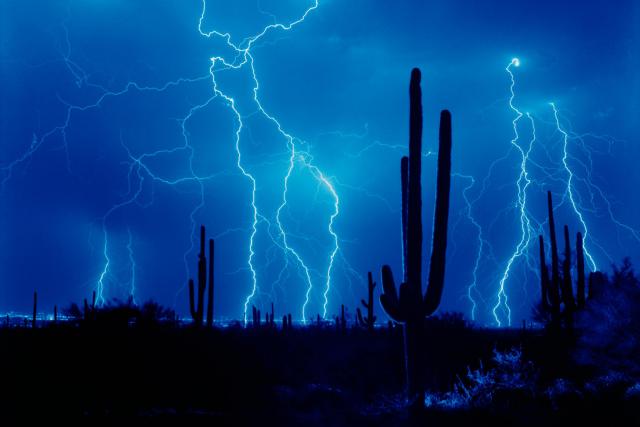 force_of_nature_19