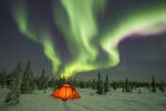 force_of_nature_29
