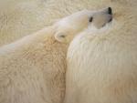 Snuggle_Time