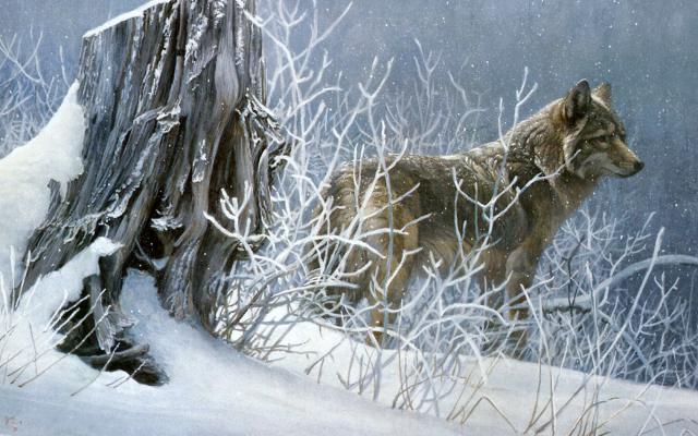 Animals_102