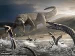 Animals_118