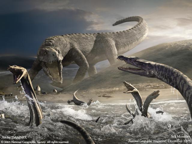 Animals_118