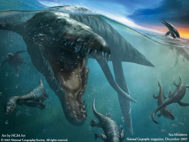 Animals_119