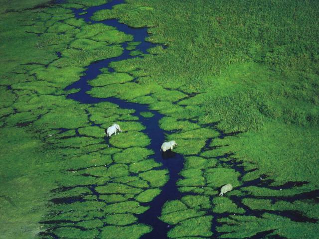 Aerial_view_027