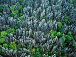 Aerial_view_030