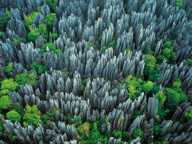 Aerial_view_030