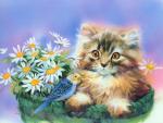 cat_165