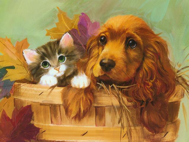 dog_401