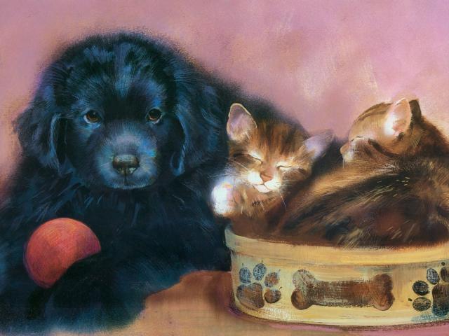 dog_403