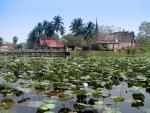 thailand_045