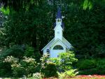 tree_146