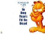 Garfield_37