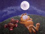 Garfield_43